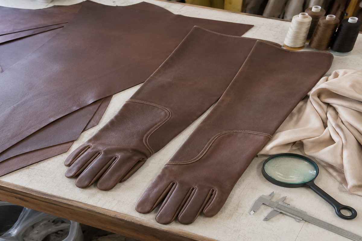 How to Source Veterinary Animal Handling Gloves Without Overspecifying Bite Protection